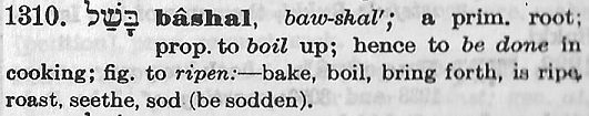 Hebrew meaning of H1310.